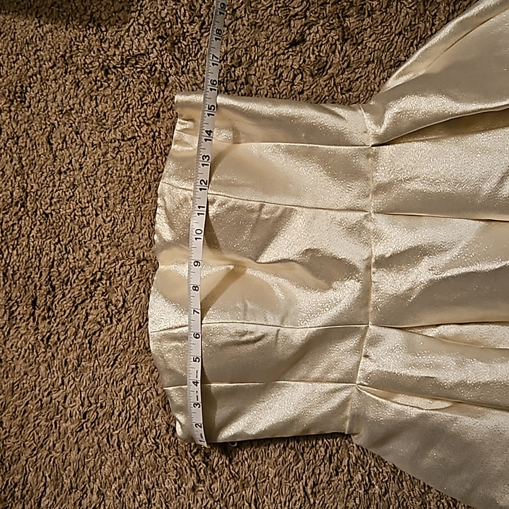 Gorgeous gown! - Picture 4 of 9